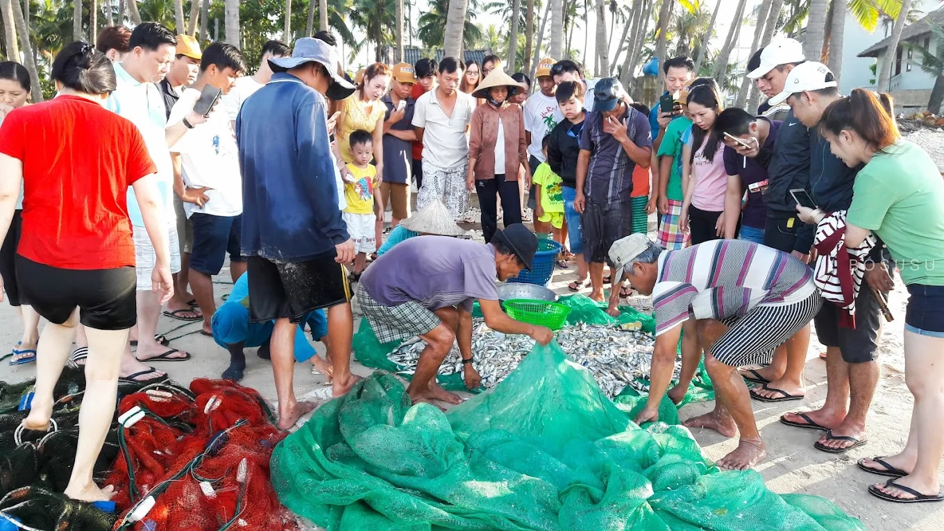 Mua Hải sản trực tiếp từ người dân làng chài 